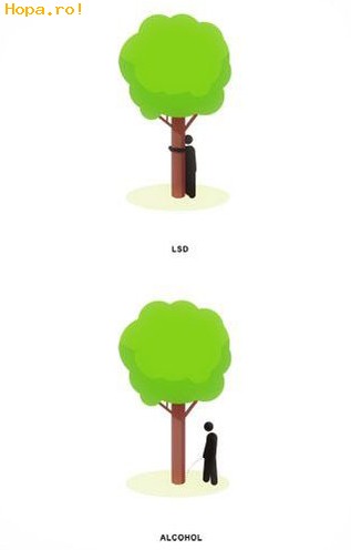 Caricaturi - Diferente de comportament