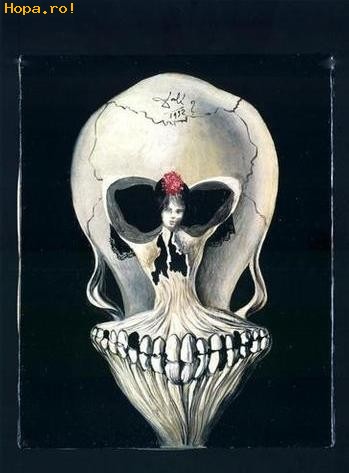 Iluzii - Balerina sau craniu?