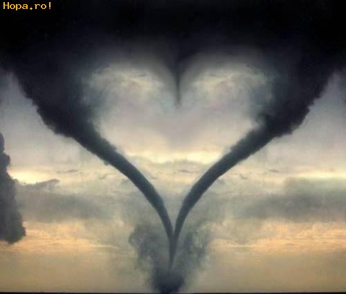 Artistice - Uraganul care arata dragostea