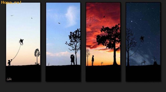 Artistice - Viata in 4 fotografii