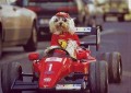 Animale - Pilot de formula 1