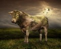 Animale - Vaca RAMBO