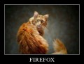 Animale - Firefox