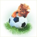Animale - Pisica fotbalista