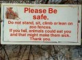 Animale - Atentie, animalele sa pot imbolnavi