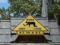Diverse - Pentru betzivani