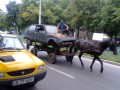 Din Romania - Tot in Bucuresti