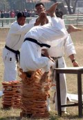 Diverse - Karate extrem