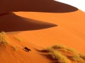 Peisaje - Desertul african