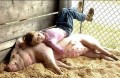 Copii - Femeile adora porcii