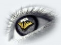 Artistice - Ochi cu fluture