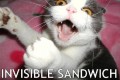 Animale - Aaaasa un sandwich as vrea