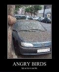 Auto Moto - Angry birds versiunea reala