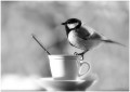 Artistice - Ceaiul de dimineata