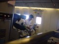 Animale - Cu Panda in avion