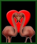 Artistice - Iubire a la Flamingo