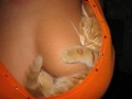 Sexoase - Hmm....ce bine e aici!