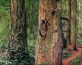 Diverse - O bicicleta in natura