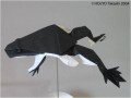 Diverse - Origami - Broscuta