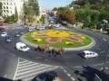 Animale - Circul a ajuns in Romania