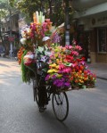 Diverse - Florar pe bicicleta