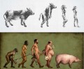 Caricaturi - Evolutia omului