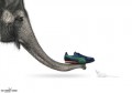 Reclame - Reclama Puma 3