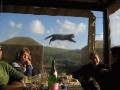 Animale - Si pisicile pot zbura