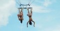 Sexoase - Sport extrem